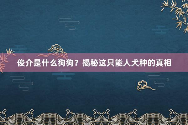 俊介是什么狗狗？揭秘这只能人犬种的真相